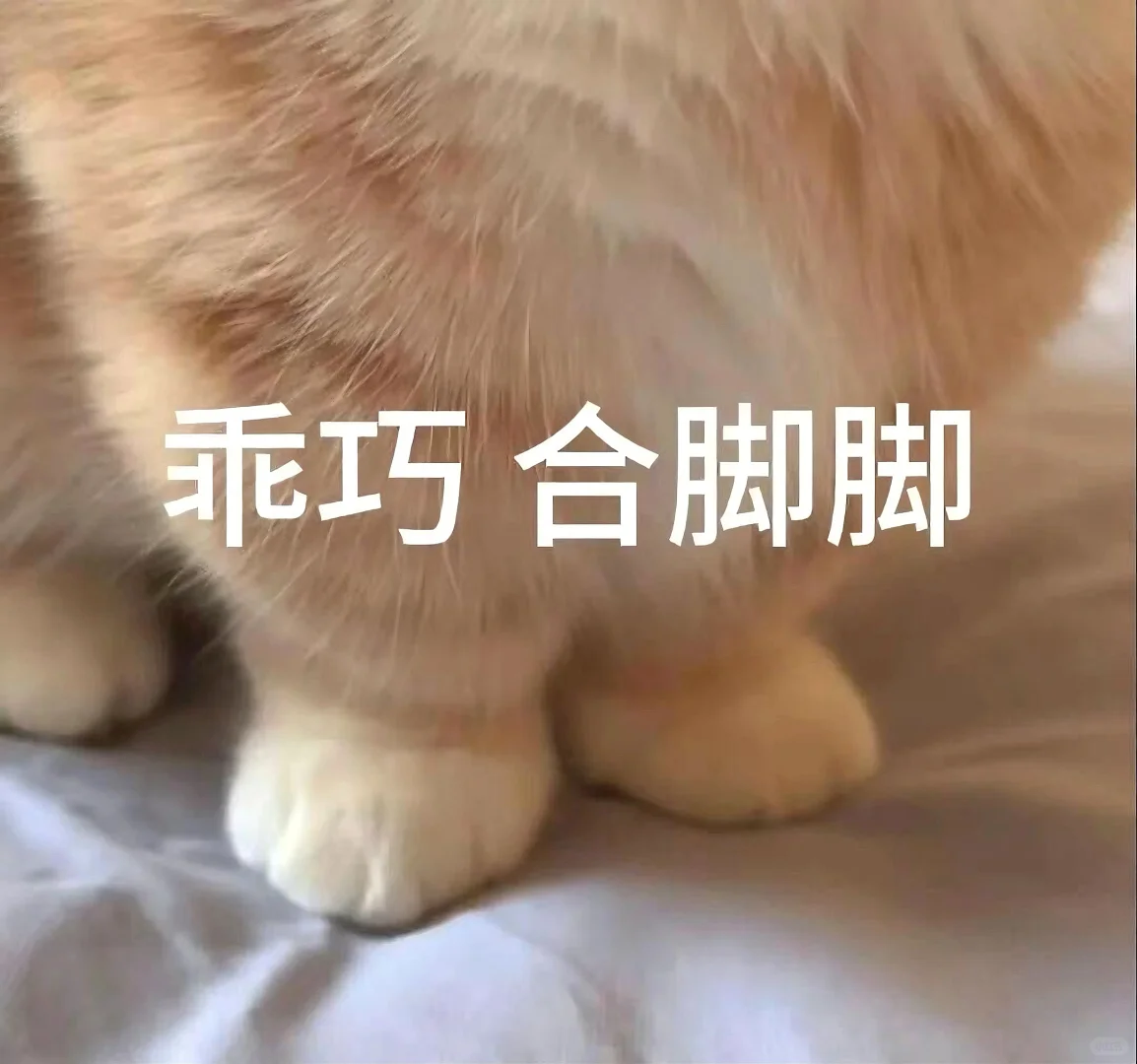 猫猫文字表情包