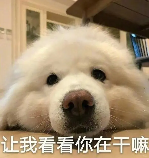 和crush犯贱的表情包