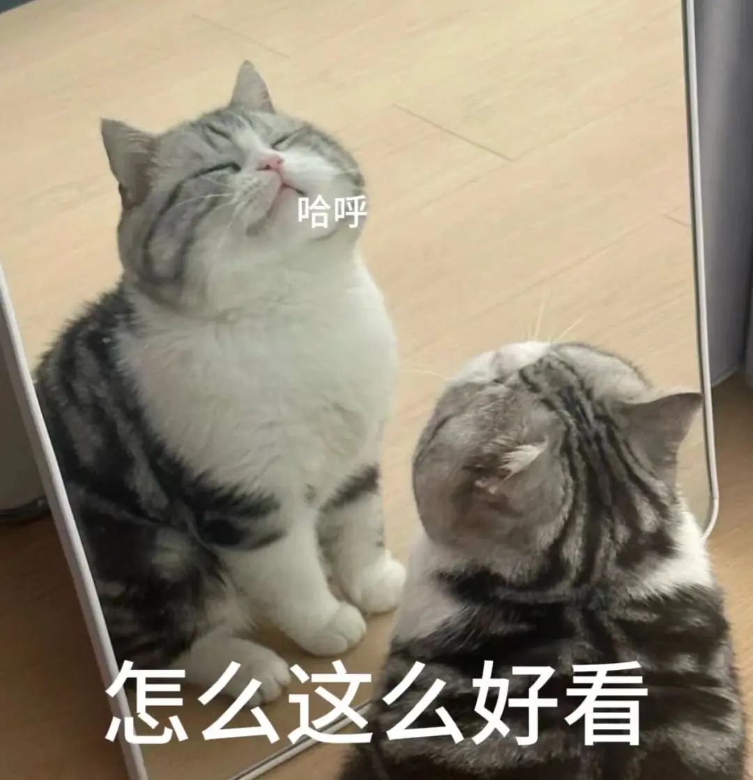 猫猫表情包分享第二十七弹