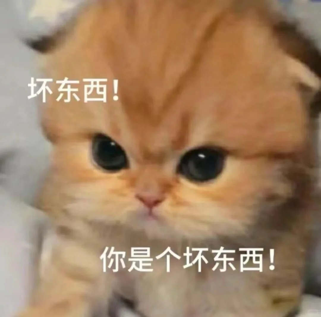 猫猫文字表情包