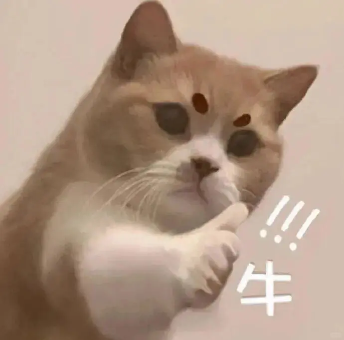 猫猫表情包来喽～