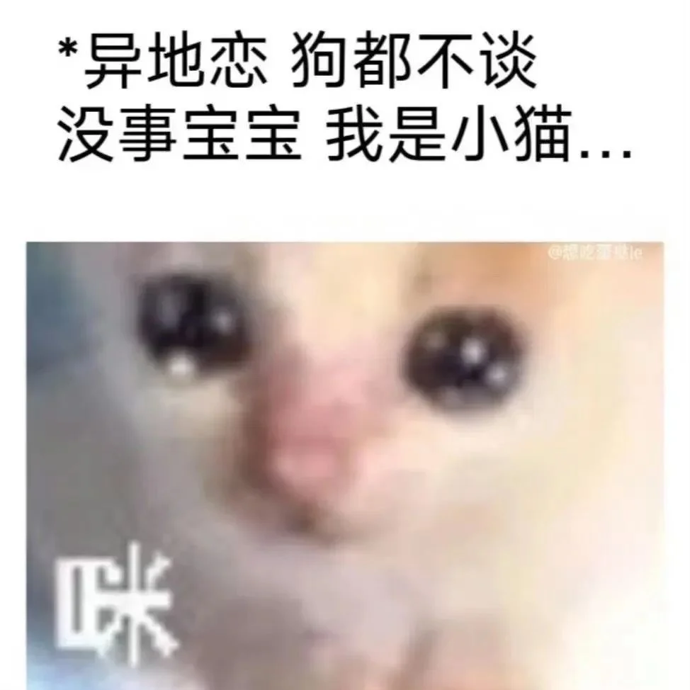 包好用的屌丝表情包