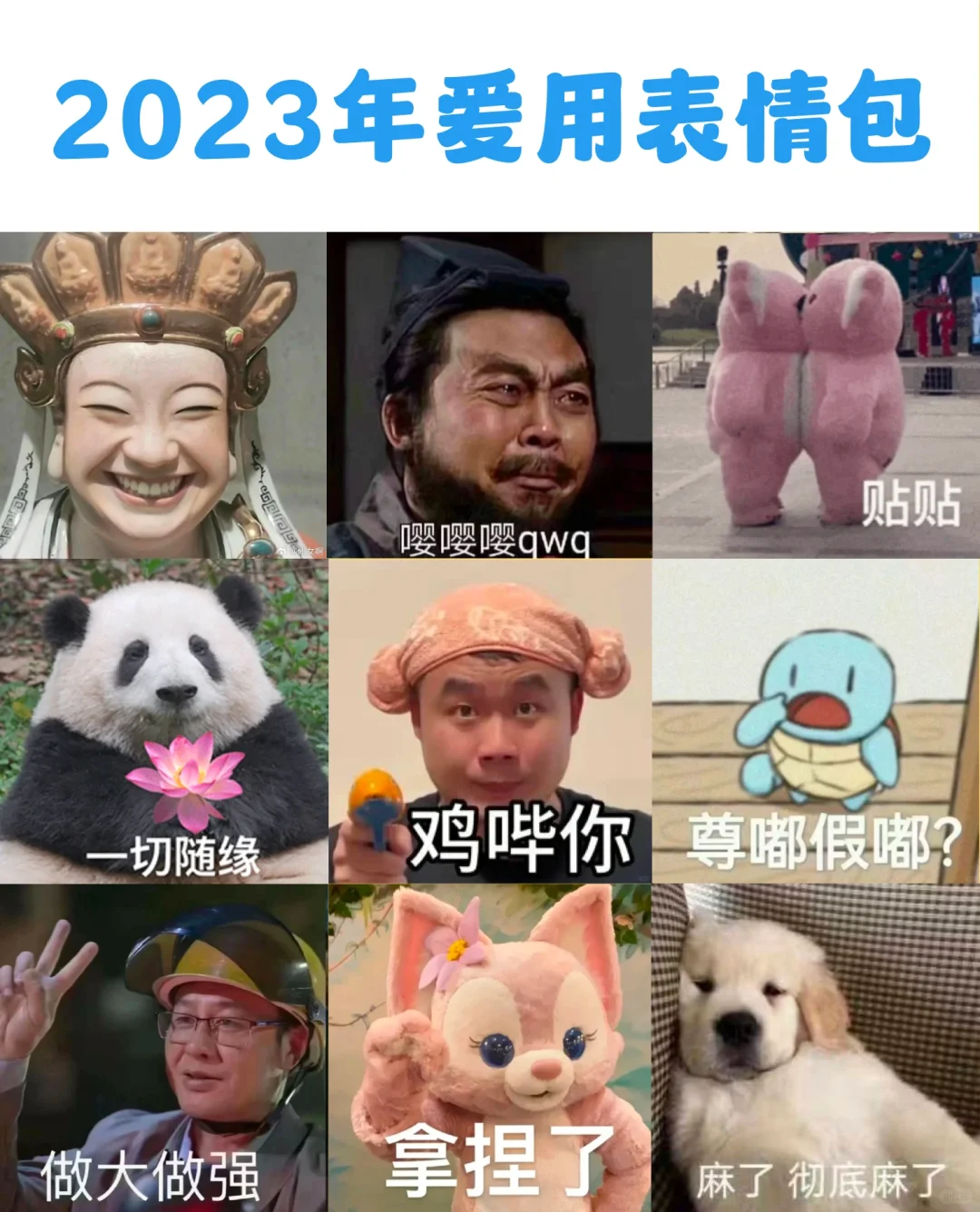 ?2023年度表情包你都用过么？