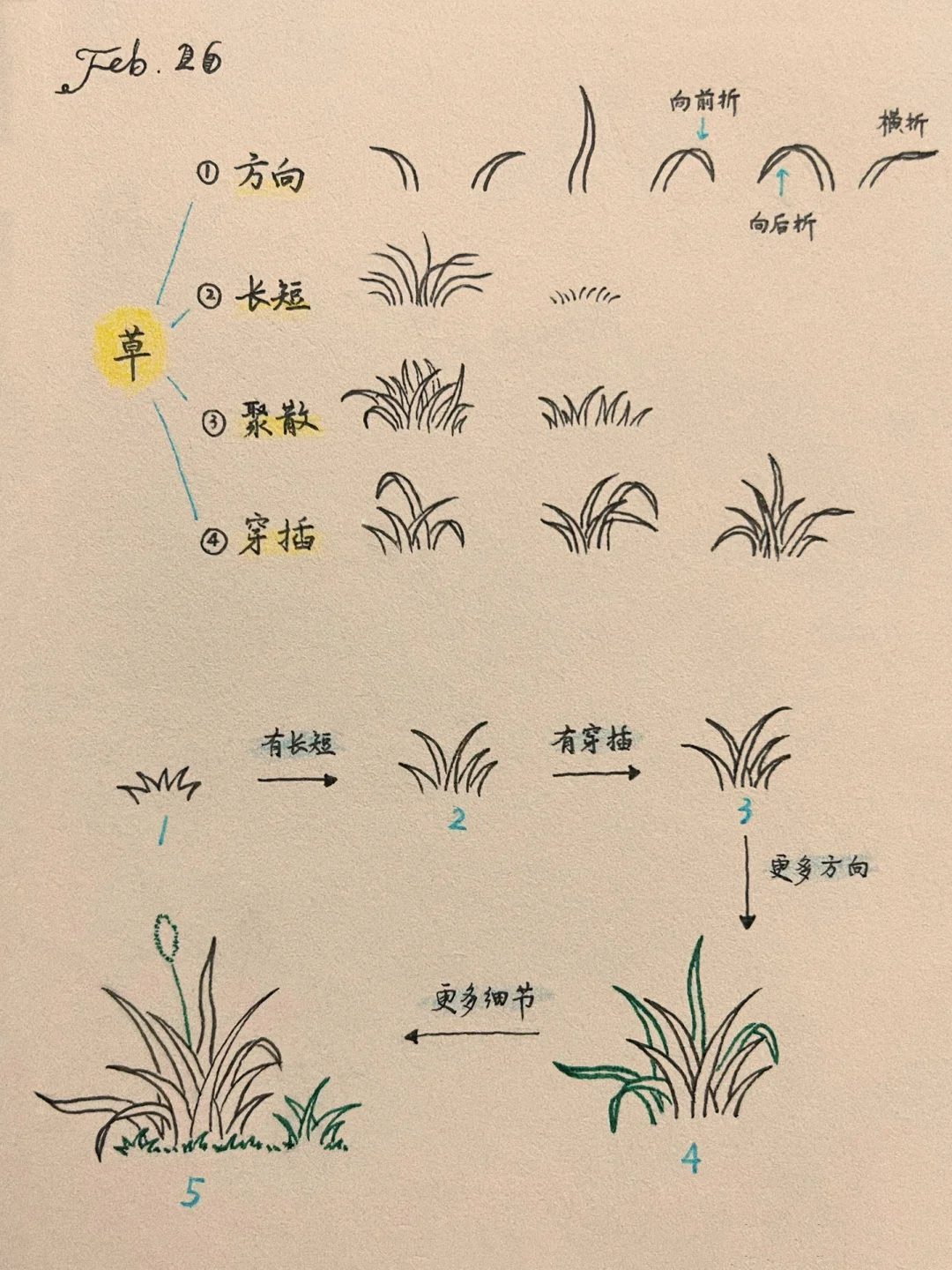 一学就会的小草通用画法！?Day51