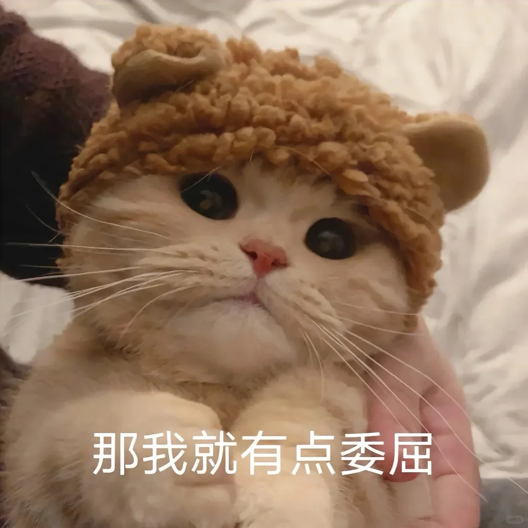 超可爱的小猫表情包来喽~