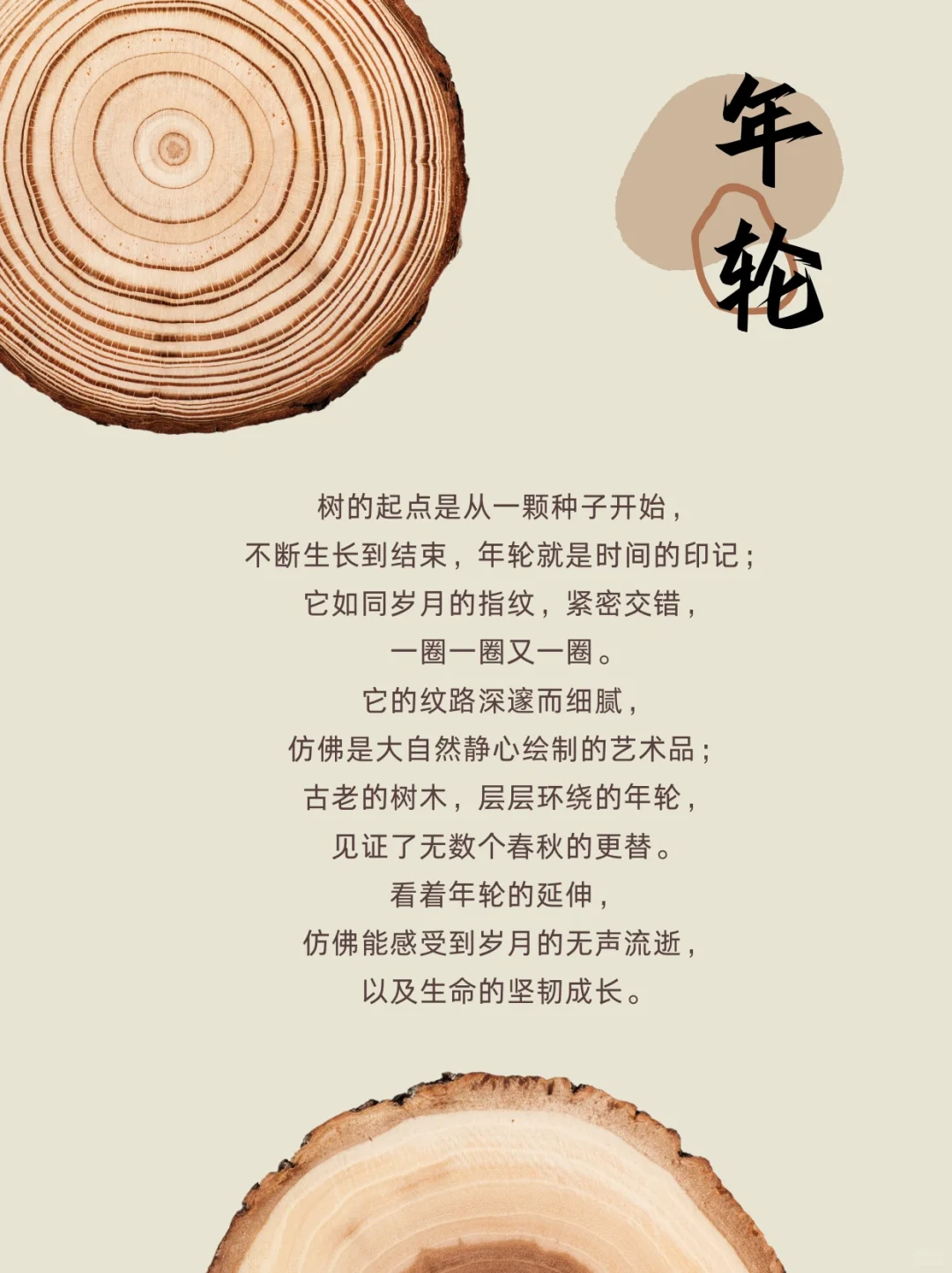 自然教育手册|?年轮的秘密