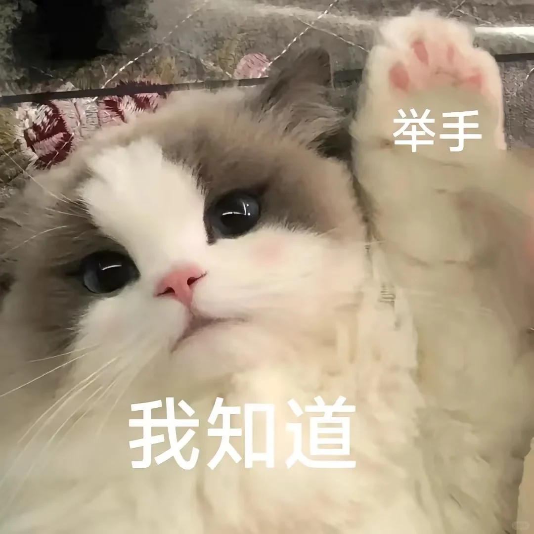 超可爱的小猫表情包来喽~