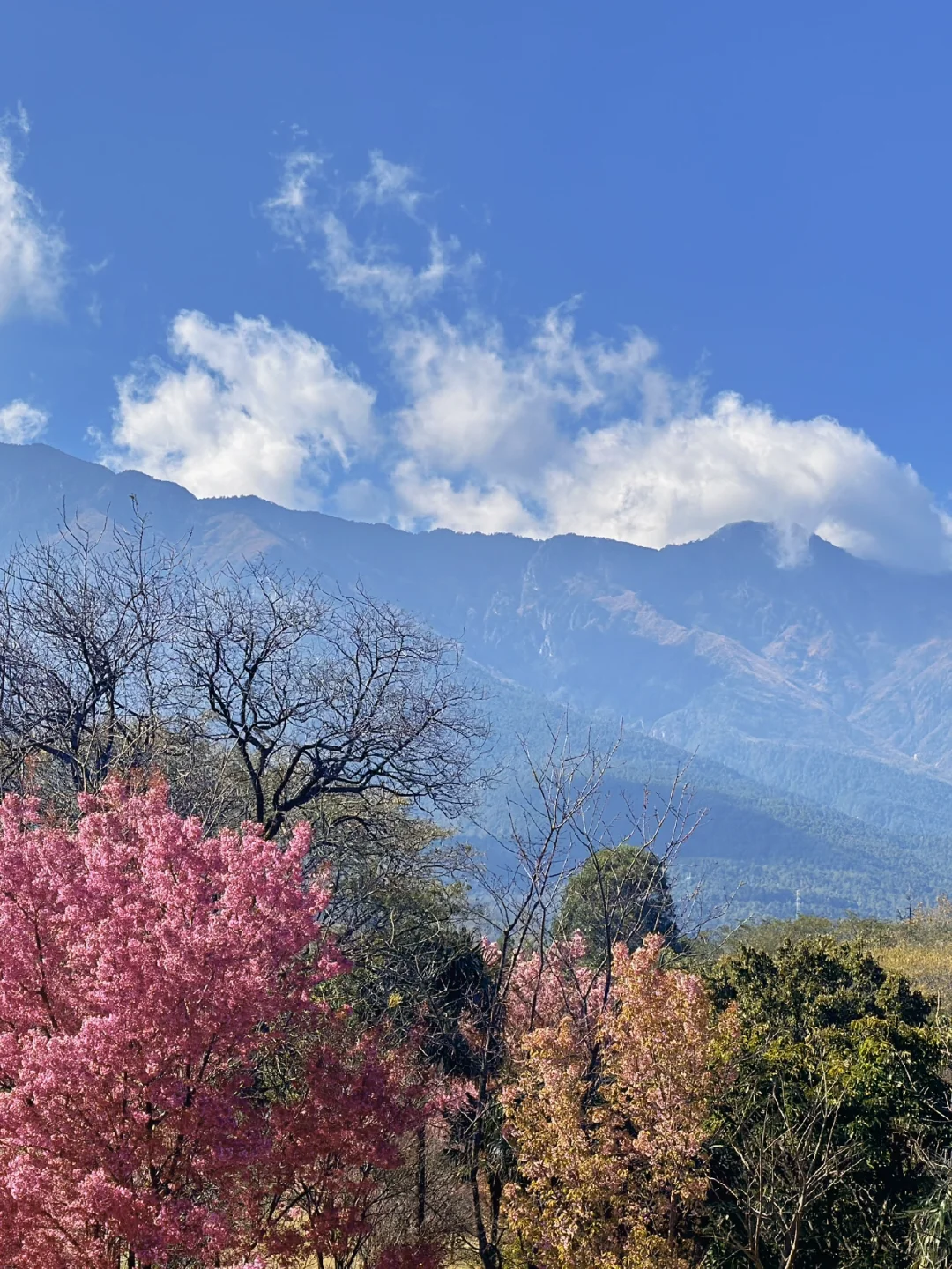 崇圣寺三塔不愧是大理5A景区❗️攻略送上