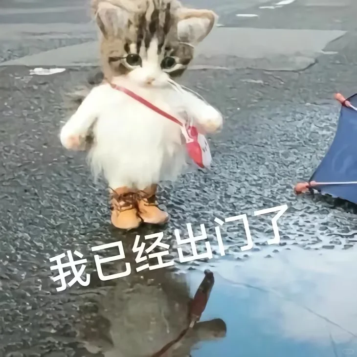 超可爱的小猫表情包来喽~