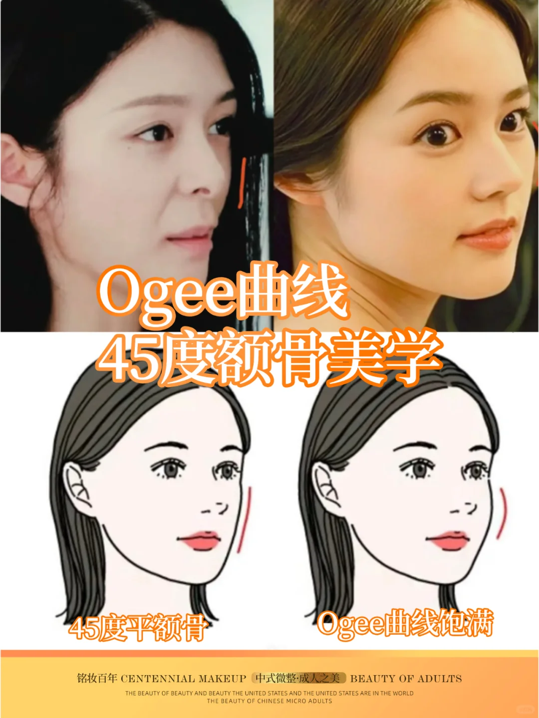 Ogee曲线｜隐藏在高颧骨里的侧面折叠度