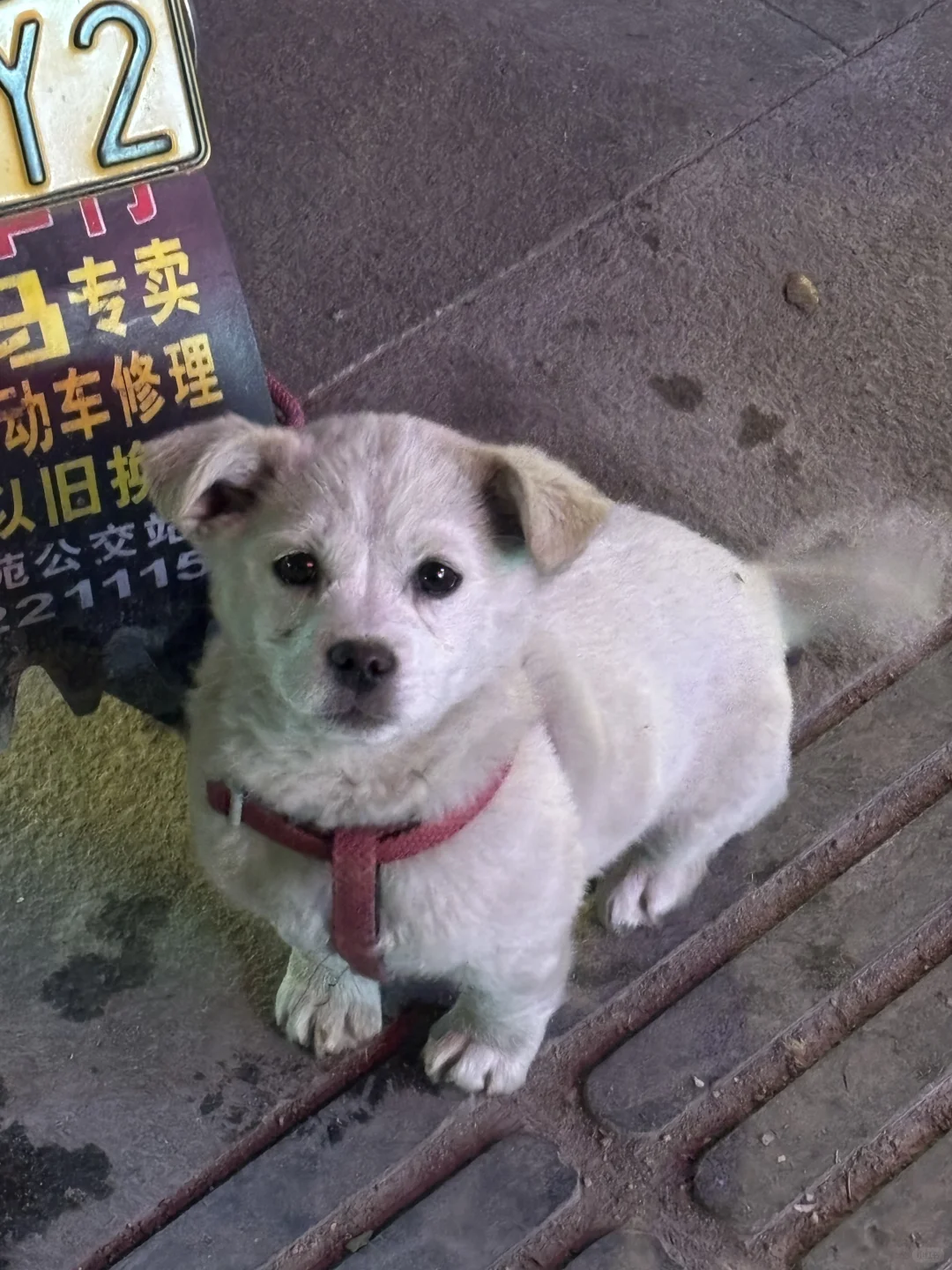 麻醉医生找兼职之写真模特