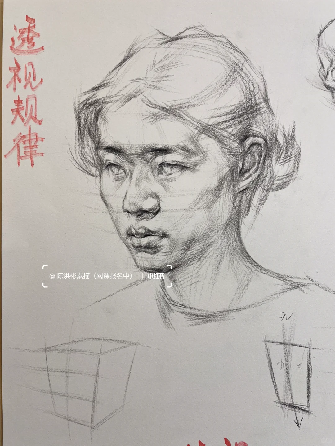 每日一画画|炭笔素描头像透视干货。收藏学习