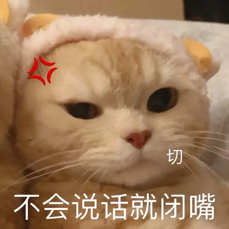 超可爱的小猫表情包来喽~