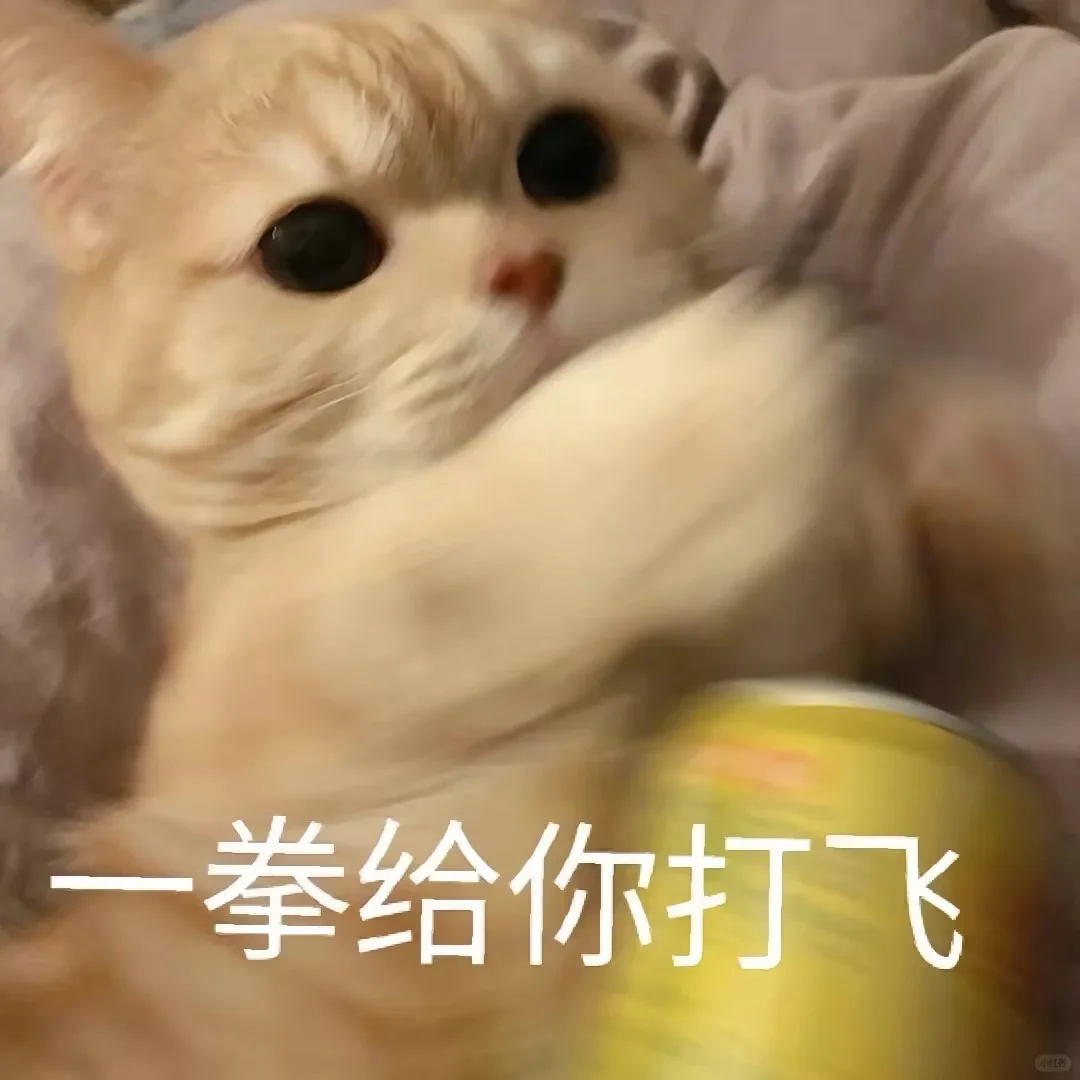 超可爱的小猫表情包来喽~