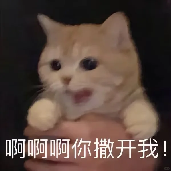 超可爱的小猫表情包来喽~