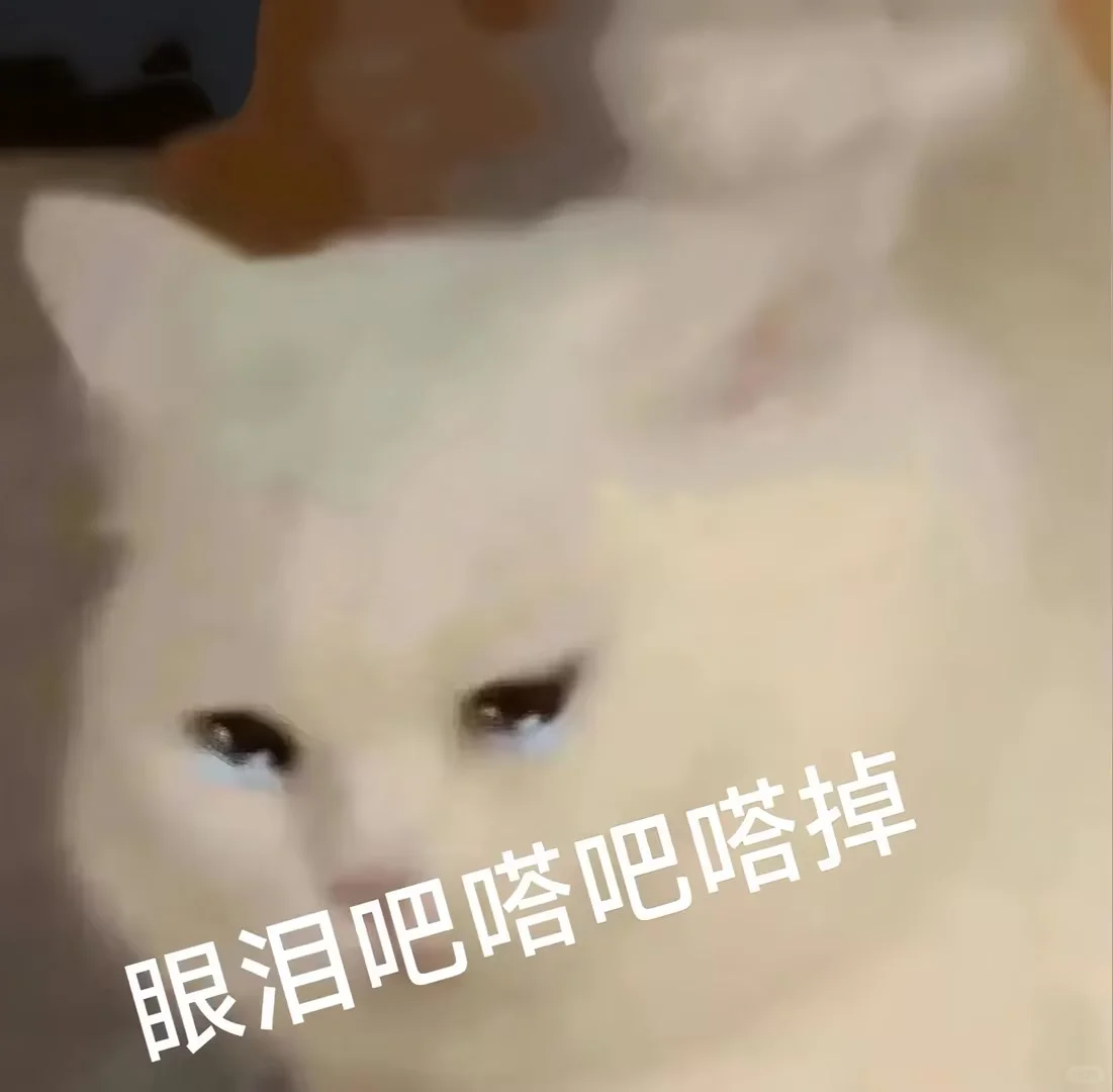 超可爱的小猫表情包来喽~