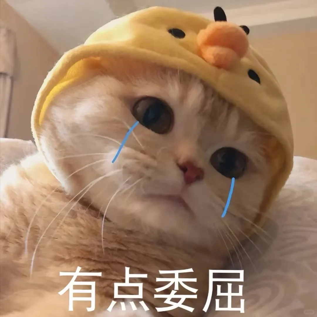 超可爱的小猫表情包来喽~