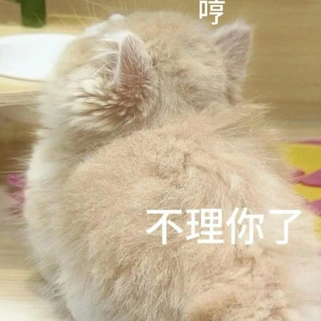 有趣好玩的猫咪表情包～