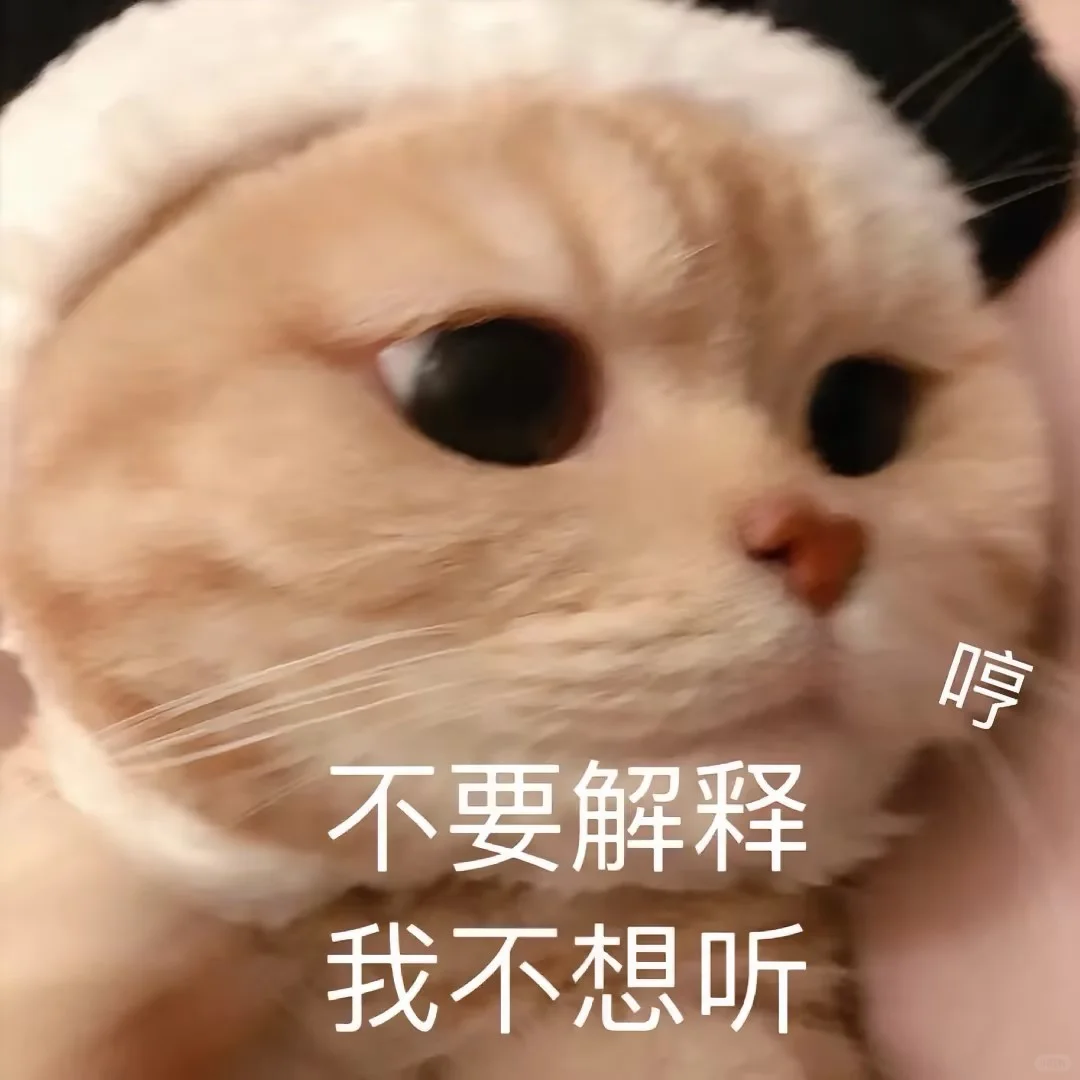 超可爱的小猫表情包来喽~