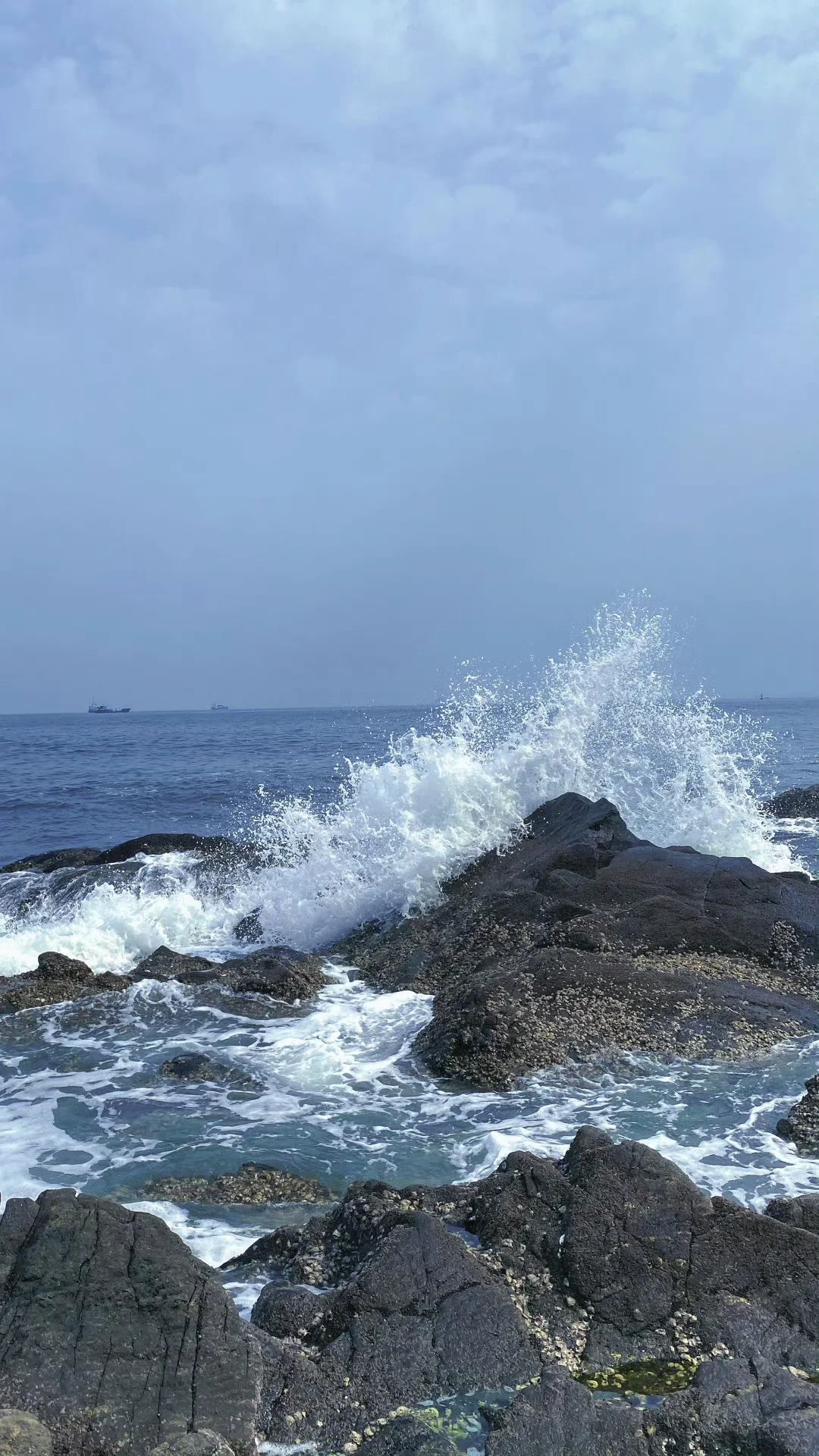 ?????????高清壁纸｜海边壁纸