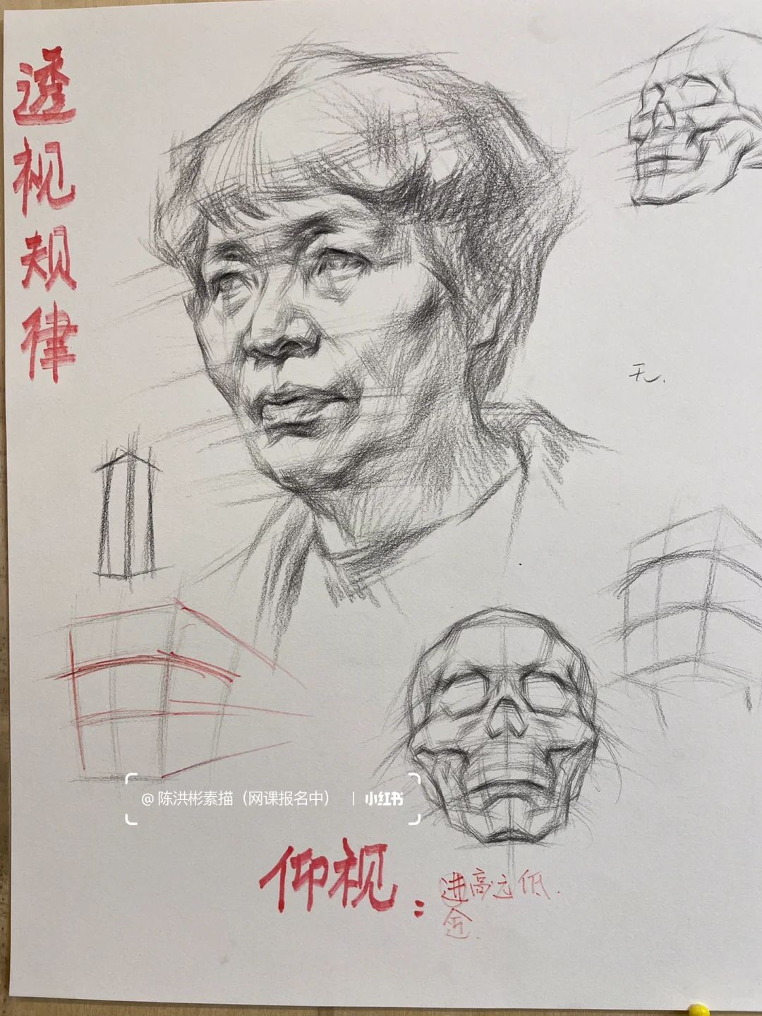 每日一画画|炭笔素描头像透视干货。收藏学习