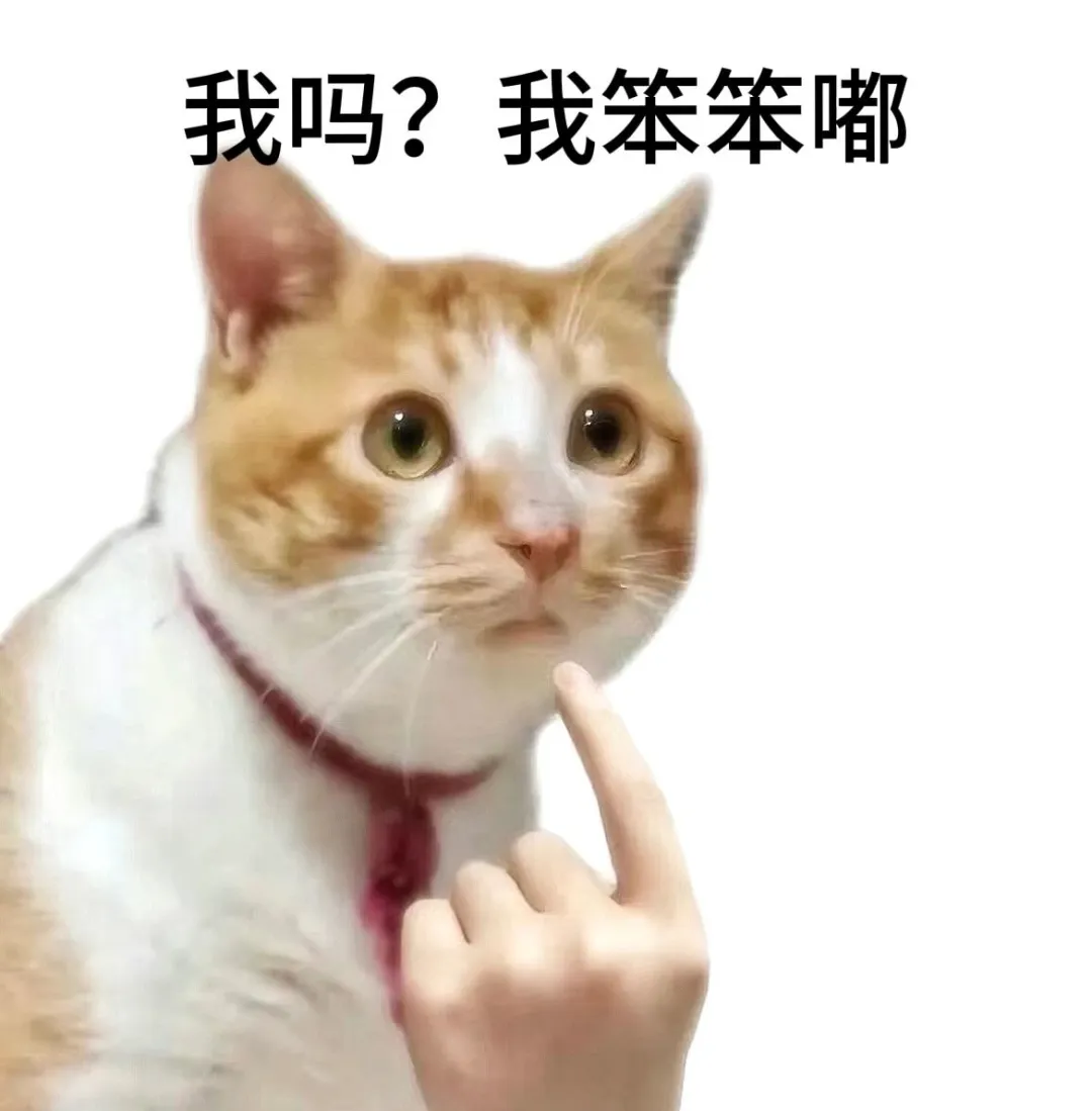 学术猫表情包！当小猫考上研究生