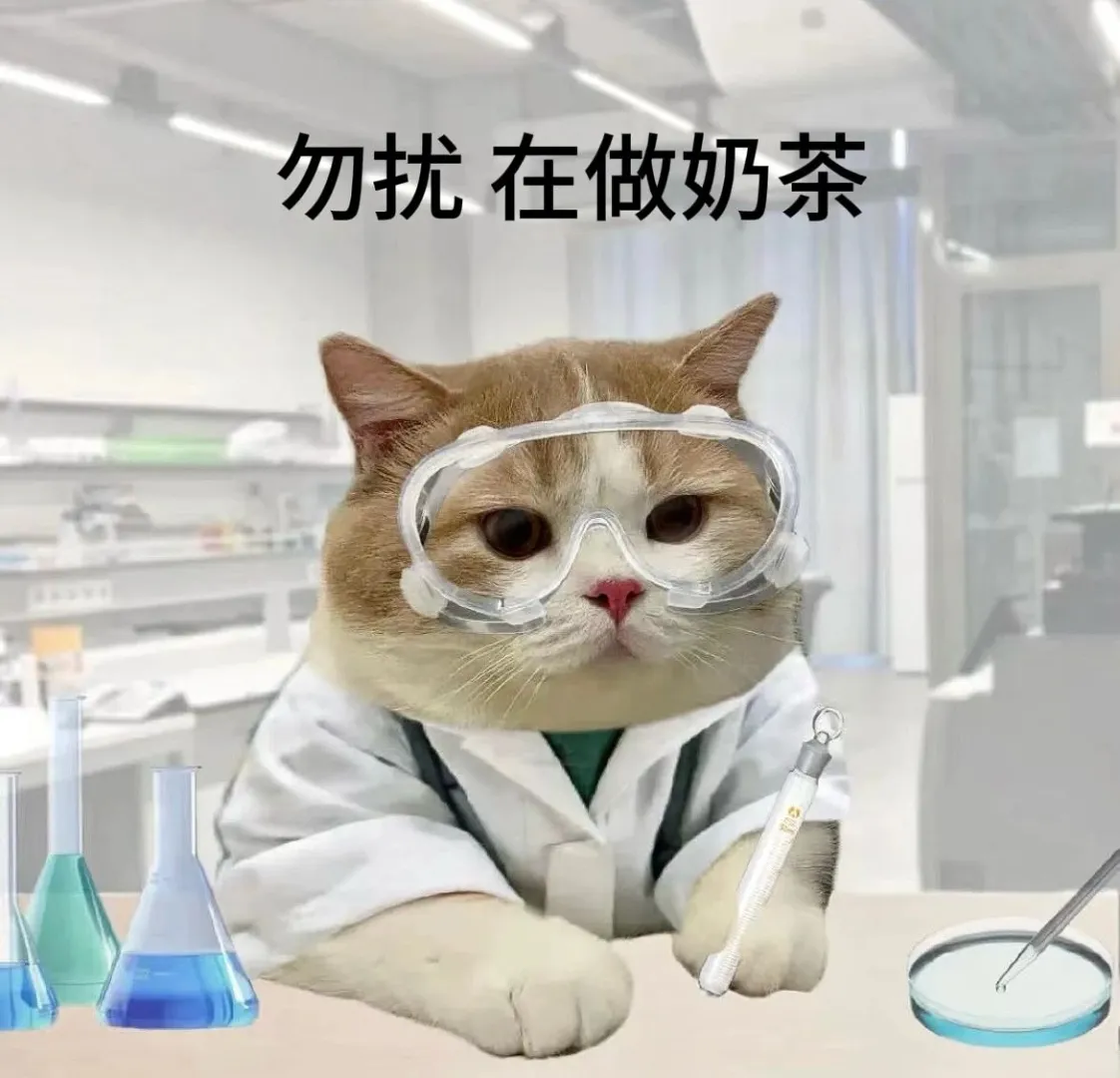 学术猫表情包！当小猫考上研究生