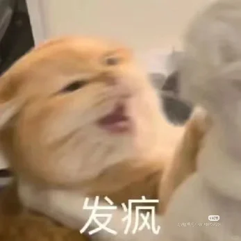 猫咪沙雕表情包，记得留个赞！！！