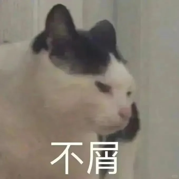 猫猫表情包又来喽～