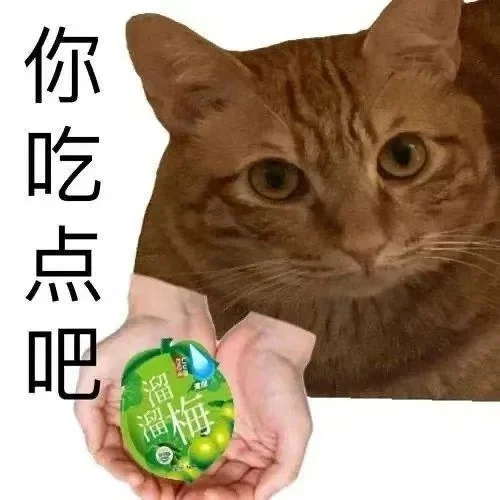 猫猫表情包又来喽～