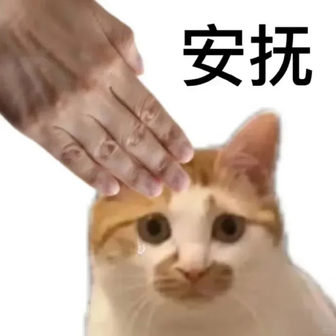 猫猫表情包又来喽～