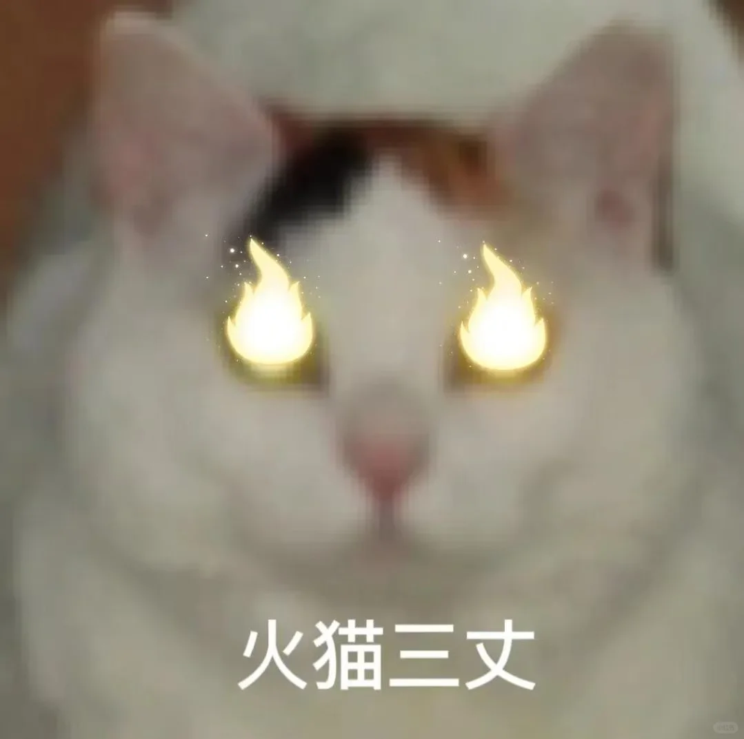 猫猫表情包又来喽～