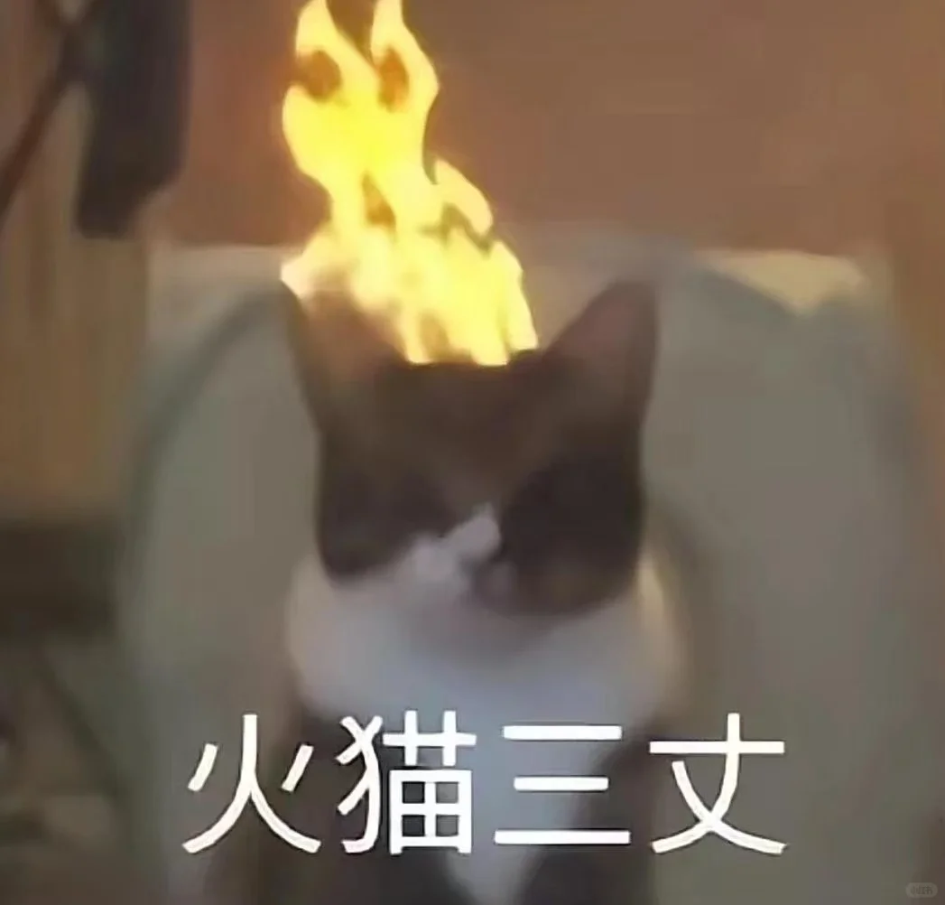 猫猫表情包又来喽～