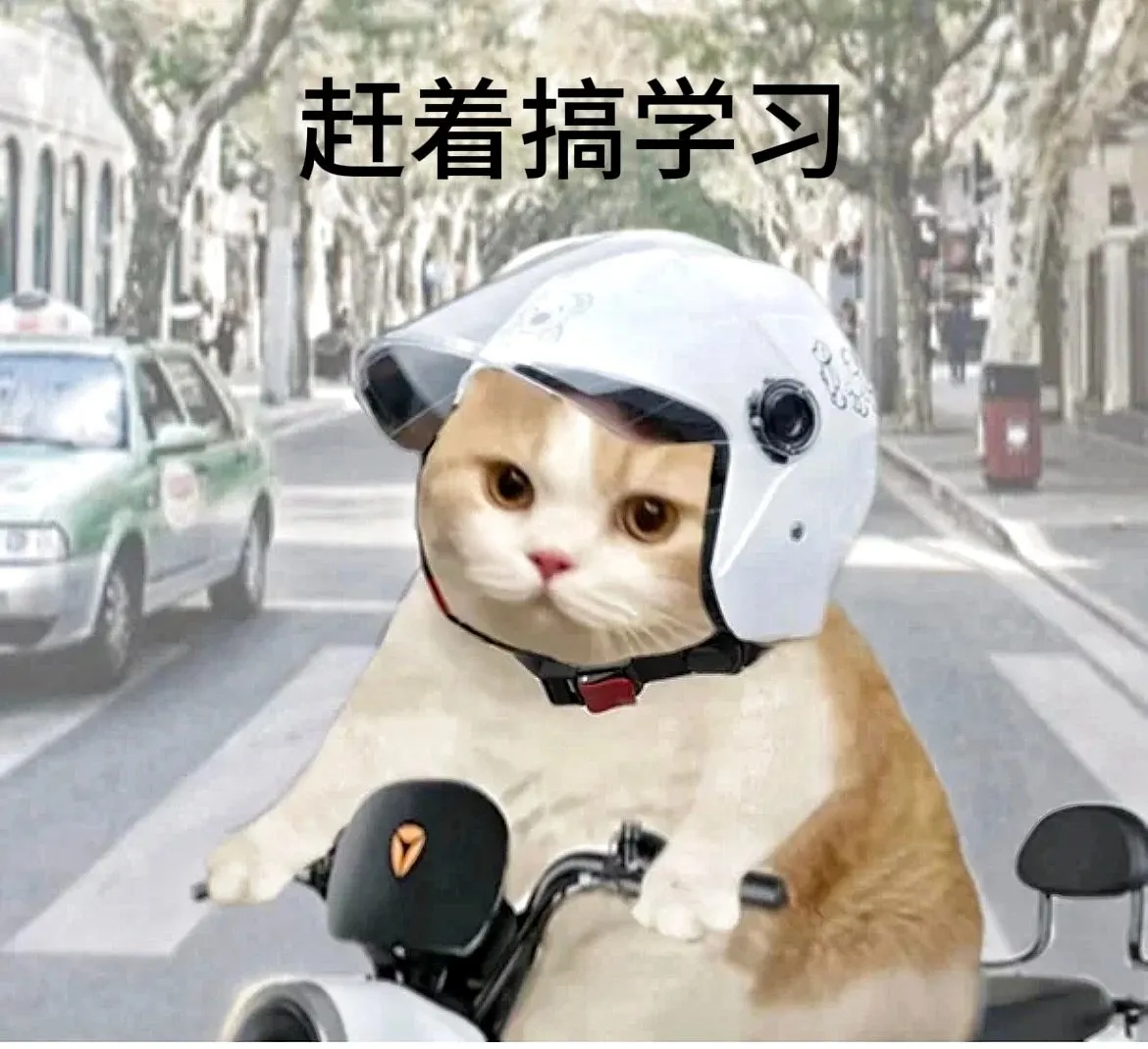 学术猫表情包！当小猫考上研究生