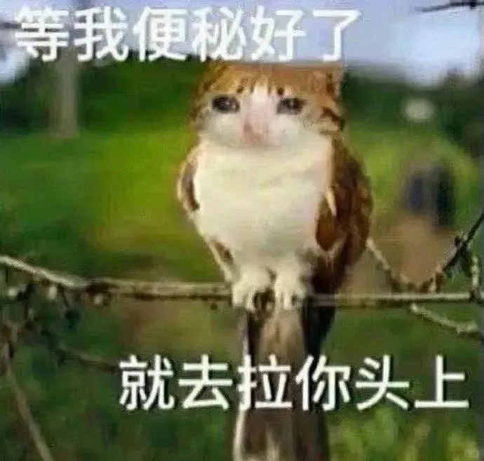 坏的铁骨铮铮 怎?