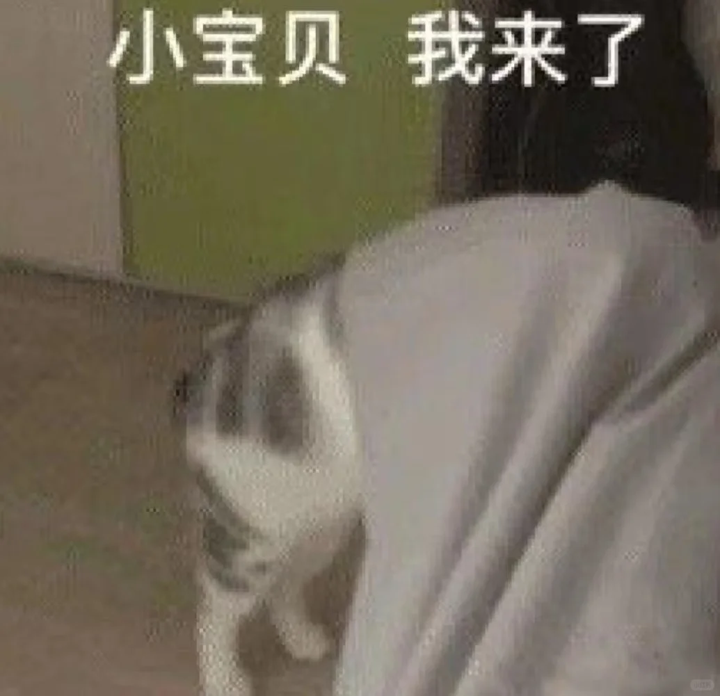 猫猫表情包又来喽～