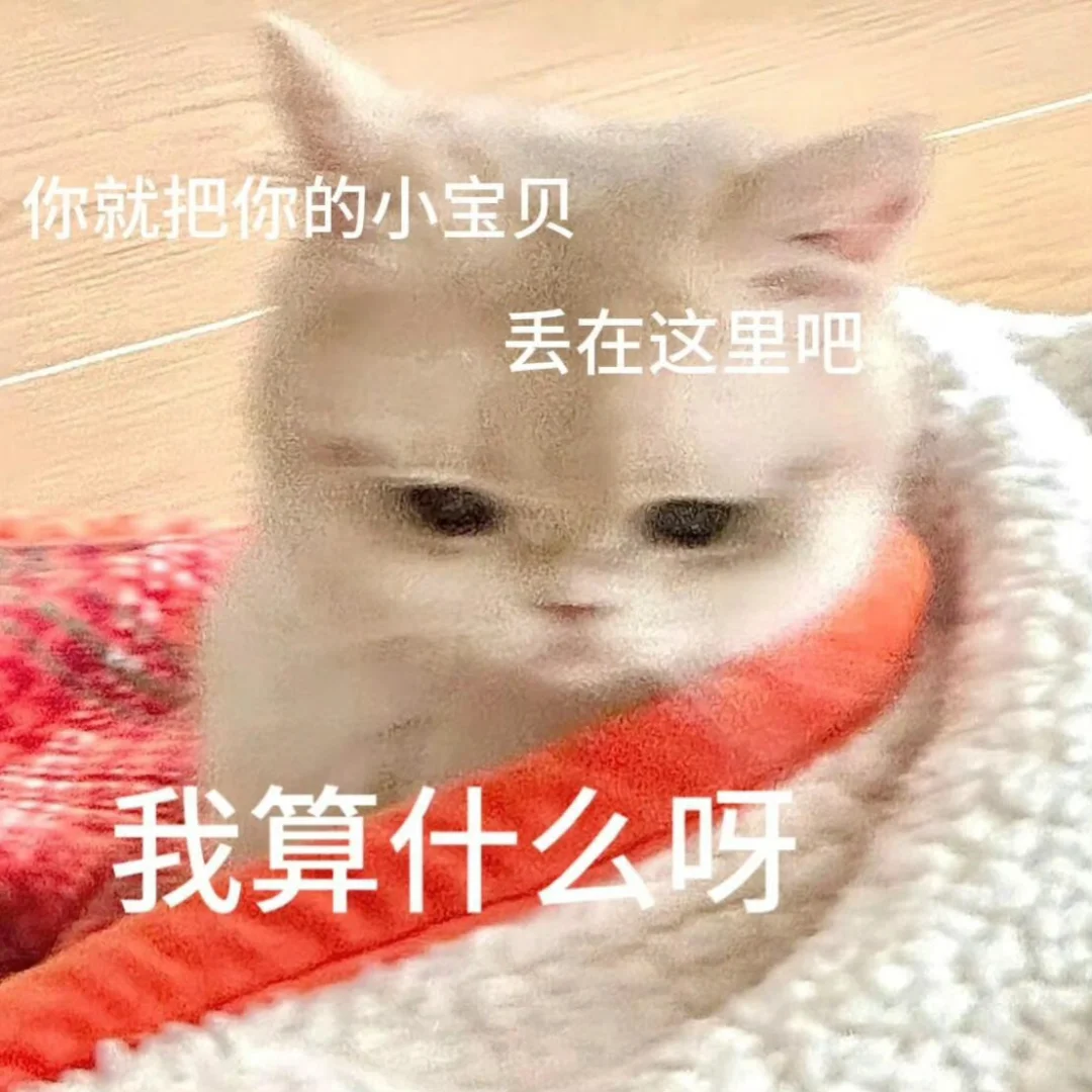 表情包|和crush聊天必备的可爱小猫