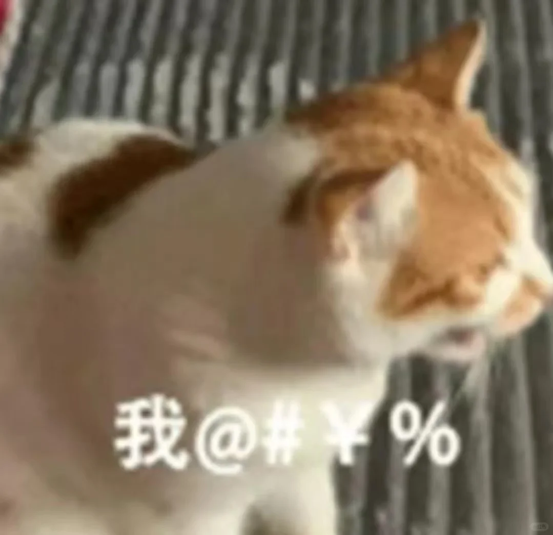 猫猫表情包又来喽～