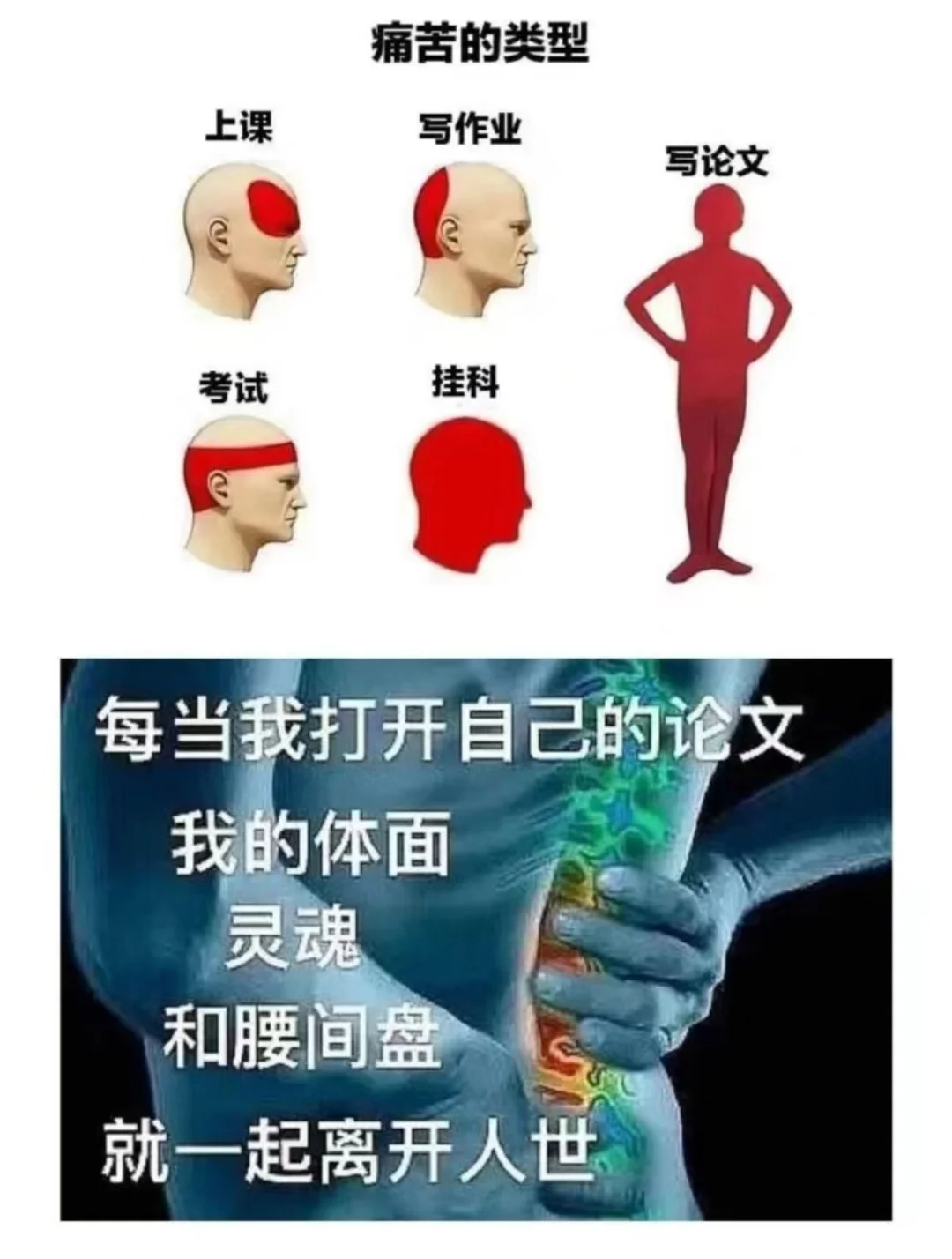 科研表情包助力每一个科研人！！每个表情