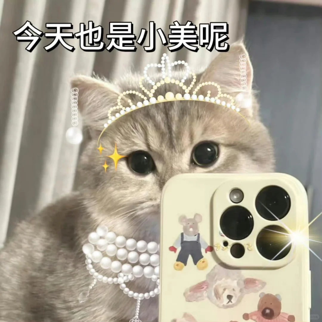 表情包|和crush聊天必备的可爱小猫