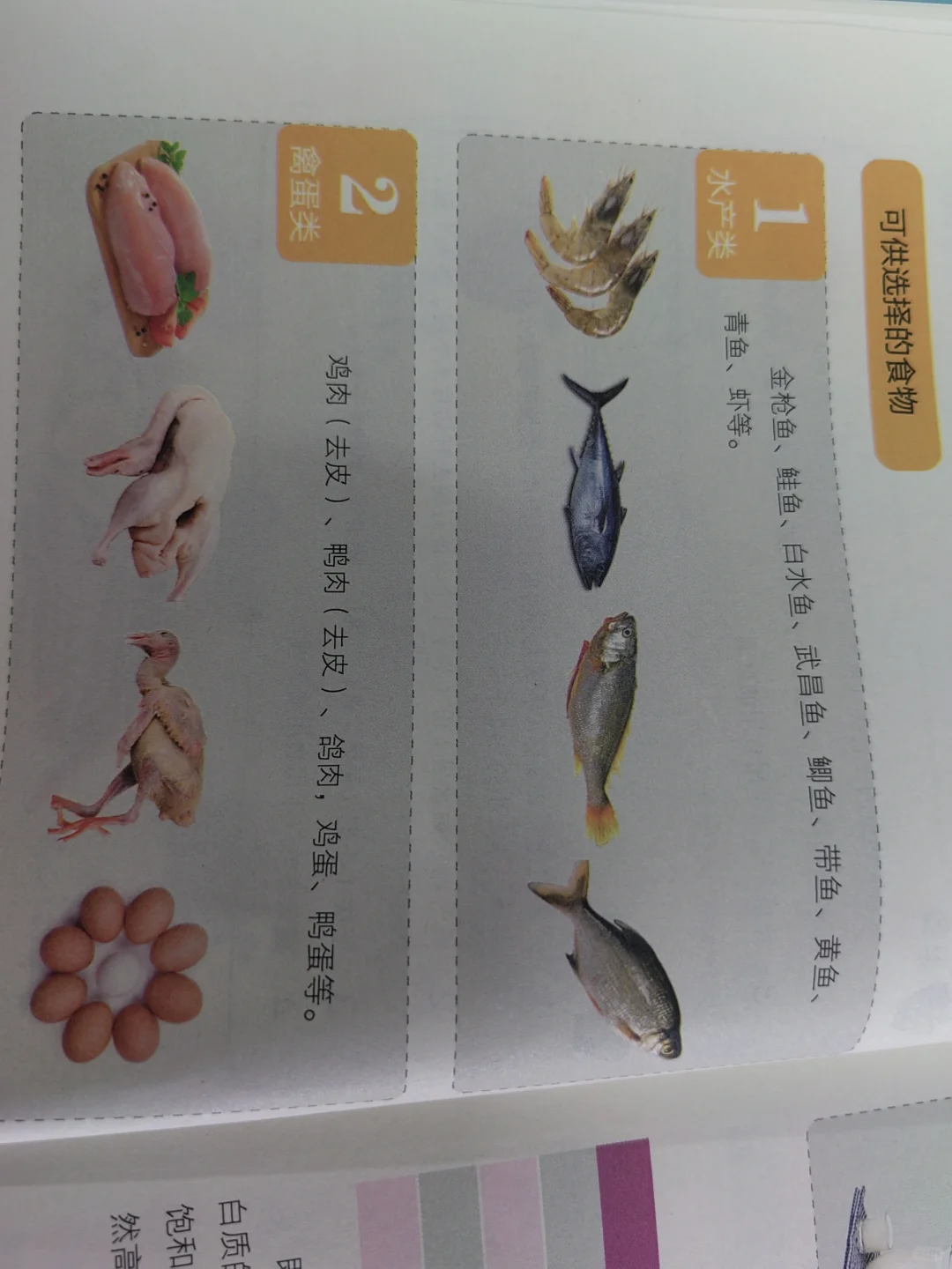 断食日，每天摄取热量500—600千卡