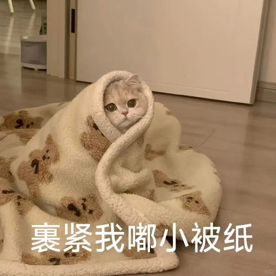 表情包|和crush聊天必备的可爱小猫