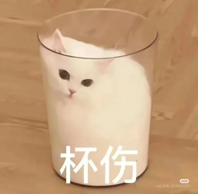 猫咪沙雕表情包，记得留个赞！！！