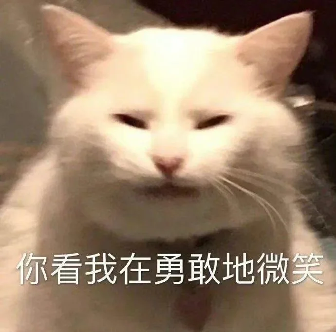 猫猫表情包又来喽～