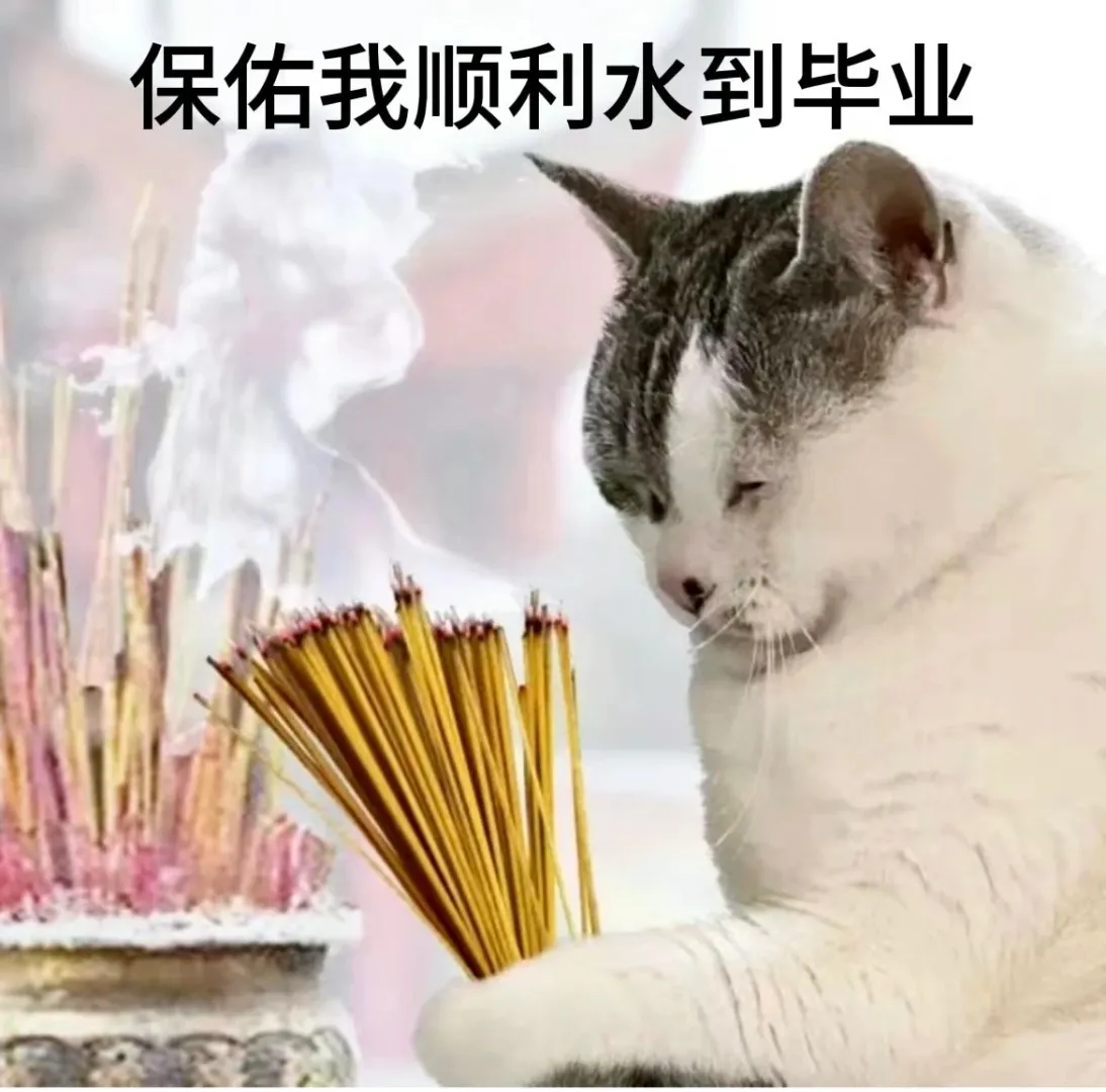 学术猫表情包！当小猫考上研究生