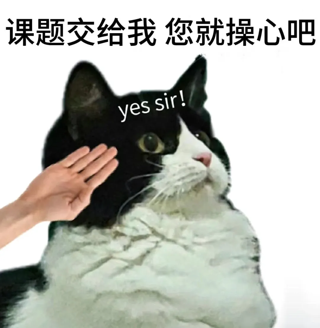 学术猫表情包！当小猫考上研究生