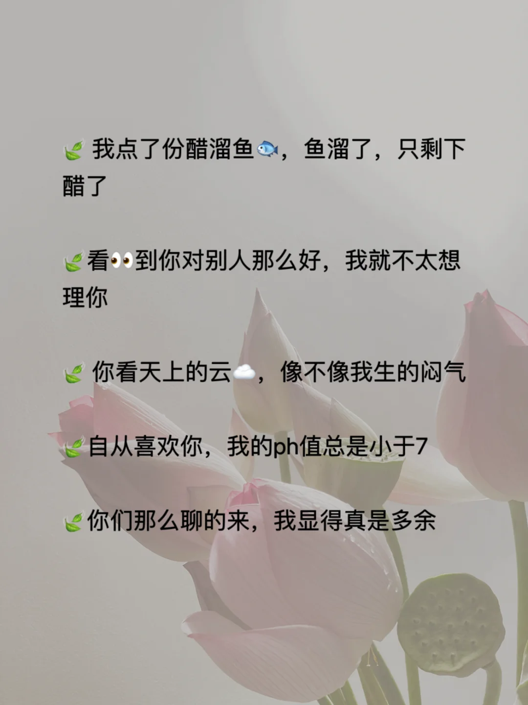 撩的男友?️反应的骚言骚语