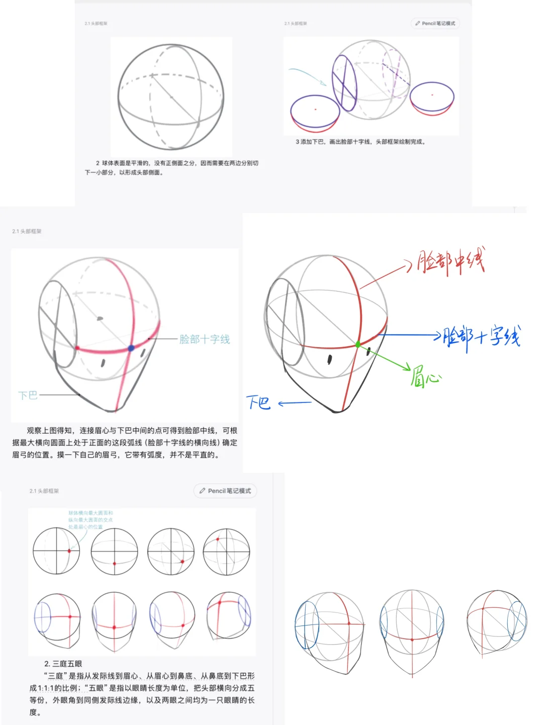 头部框架