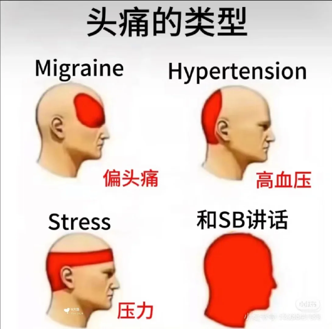 笑岔气的图片，吃饭时千万别看