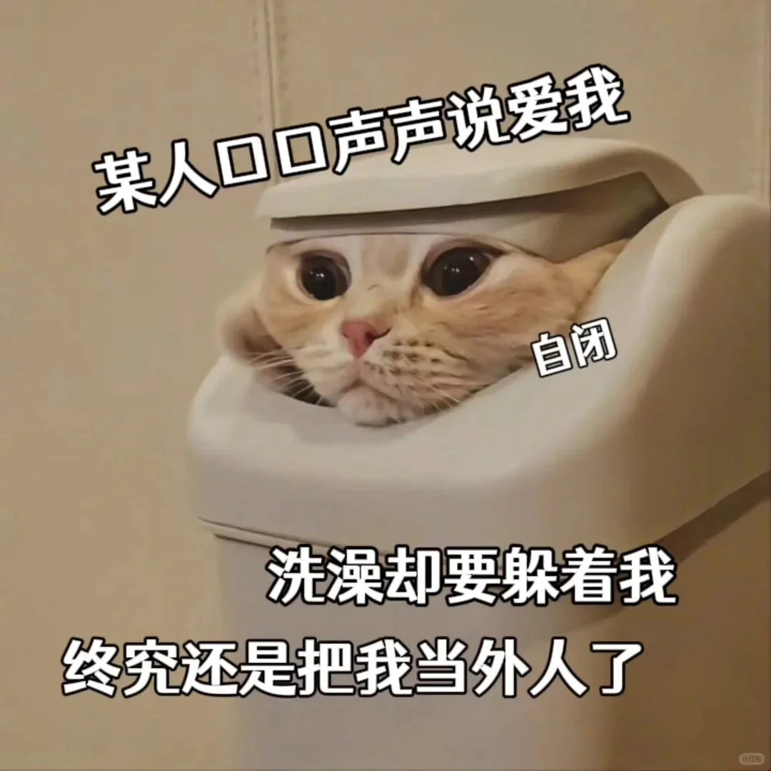 猫咪表情包~老婆万岁~老婆第一